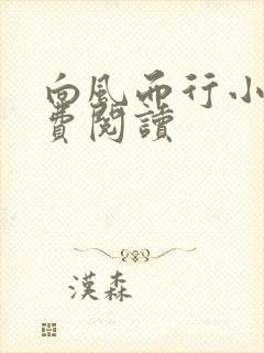 向风而行小说免费阅读