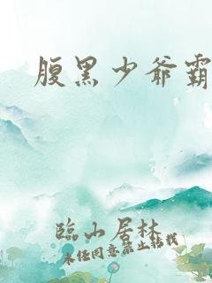 腹黑少爷霸道爱