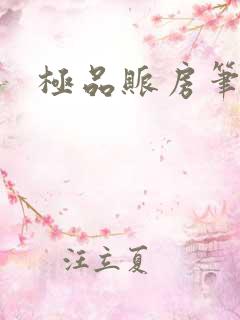 极品账房笔趣阁