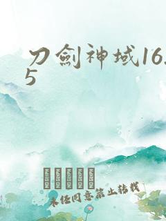 刀剑神域16.5