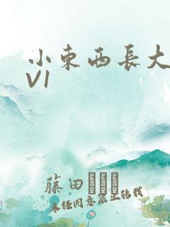 小东西长大了1V1