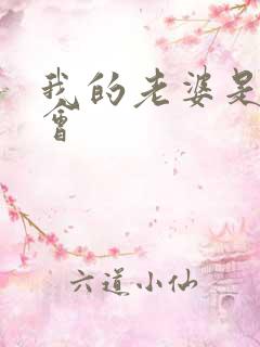 我的老婆是黑社会