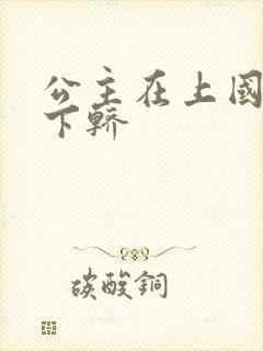 公主在上国师请下轿