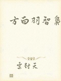 方白羽智枭