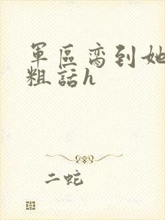 军区脔到她哭h粗话h