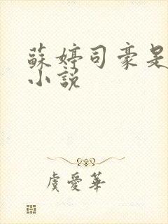 苏婷司豪是什么小说