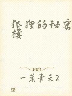 狐狸的秘密19楼