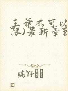 王爷不可以!(限)最新章节