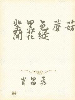 紫黑色蘑菇头顶开花缝