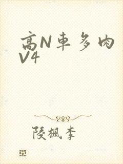 高N车多肉多1V4