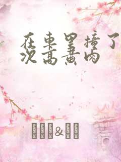 在车里撞了我八次高黄肉