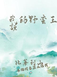 我的野蛮王妃小说