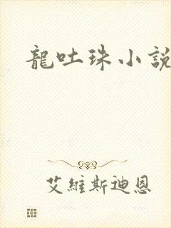 龙吐珠小说