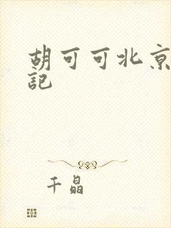 胡可可北京成功记