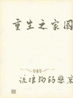 重生之家国天下