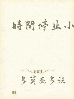时间停止小说