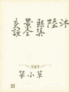 炎景熙陆沐擎小说全集