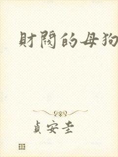 财阀的母狗们