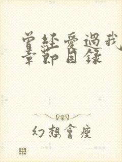 曾经爱过我刘念章节目录