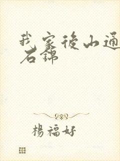 我家后山通仙界石锦
