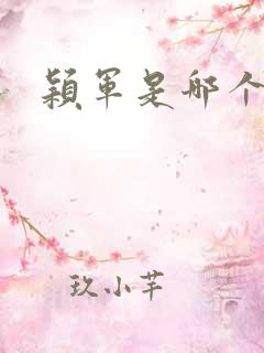 颖军是哪个军阀