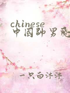 chinese中国帅男飞机