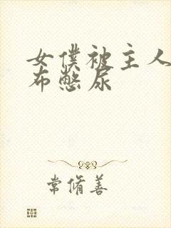 女仆被主人用胶布憋尿