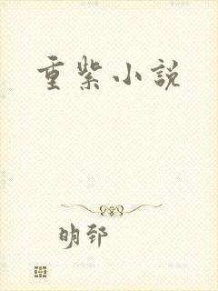 重紫小说