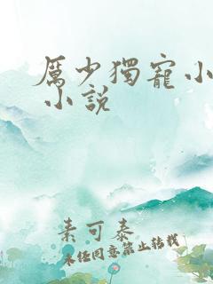 厉少独宠小娇妻 小说