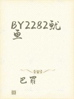 BY2282鱿鱼