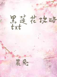 黑莲花攻略手册 txt