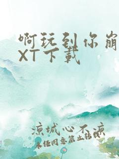 啊玩到你崩溃TXT下载