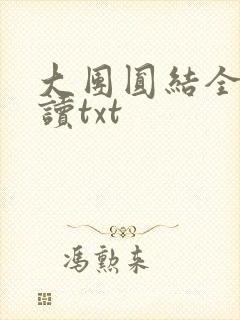 大团圆结全文阅读txt
