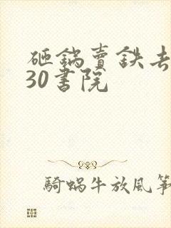 砸锅卖铁去上学30书院