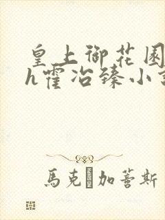 皇上御花园hlh霍冶臻小说