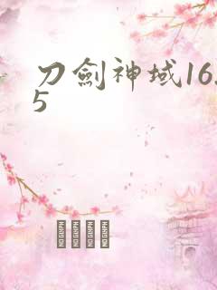刀剑神域16.5