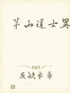 茅山道士异界游