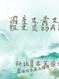 国产又黄又猛又粗又爽的A片小说