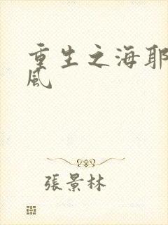 重生之海耶斯旋风