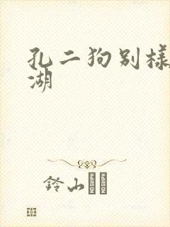 孔二狗别样的江湖