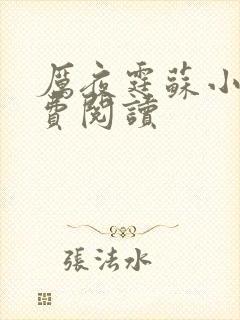 厉夜霆苏小汐免费阅读