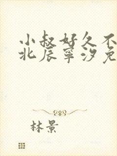 小叔好久不见顾北辰宁汐免费阅读