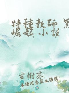 特种教师 黑暗崛起 小说