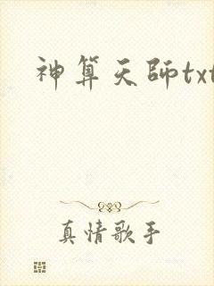 神算天师txt