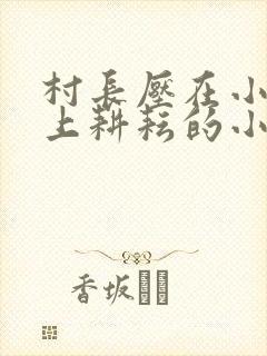 村长压在小娥身上耕耘的小说