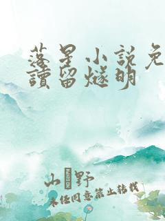 落星小说免费阅读留燧明