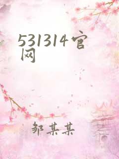 531314官网