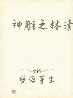 神雕之林清传