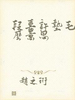 段嘉许垫毛巾什么意思