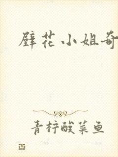 壁花小姐奇遇记